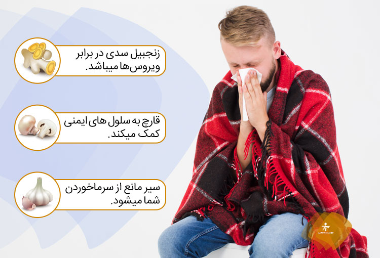 تغذیه در هنگام سرماخوردگی