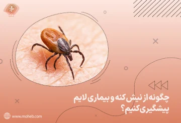 چگونه خود را از نیش کنه محافظت کنیم؟